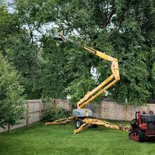 Best Tree and Shrub Care  in San Castle, FL